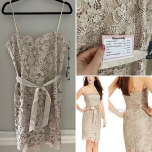 NWT Adrianna Papell Champagne Beige Lace Overlay Tie Waist‎ Dress Size 14
